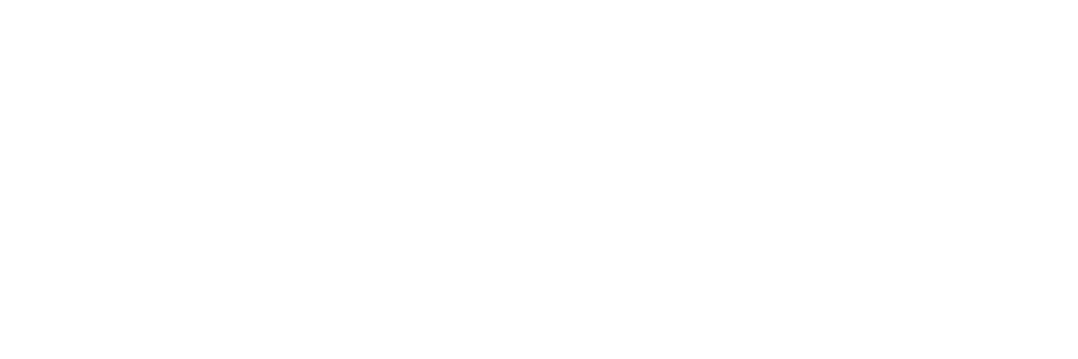 Optimal Workshop